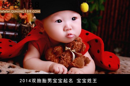 2014双胞胎男宝宝起名 宝宝姓王