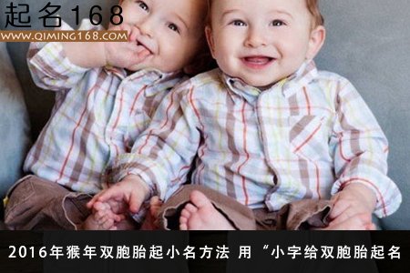 双胞胎起名 2016年猴年双胞胎小名大全
