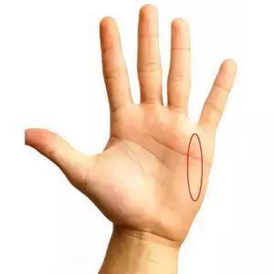 怎么看手相 教你如何看自己手相，简单易懂辨别6大手纹线 你都知道吗？