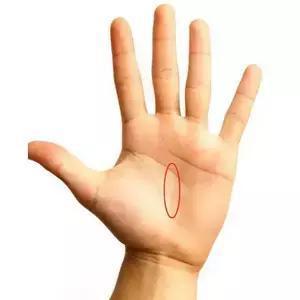怎么看手相 教你如何看自己手相，简单易懂辨别6大手纹线 你都知道吗？
