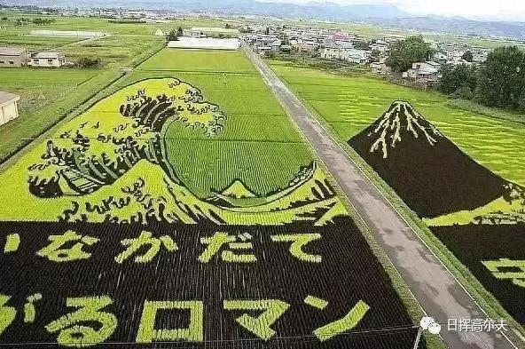 日本最出名9个农场，模式繁多、各具特色！