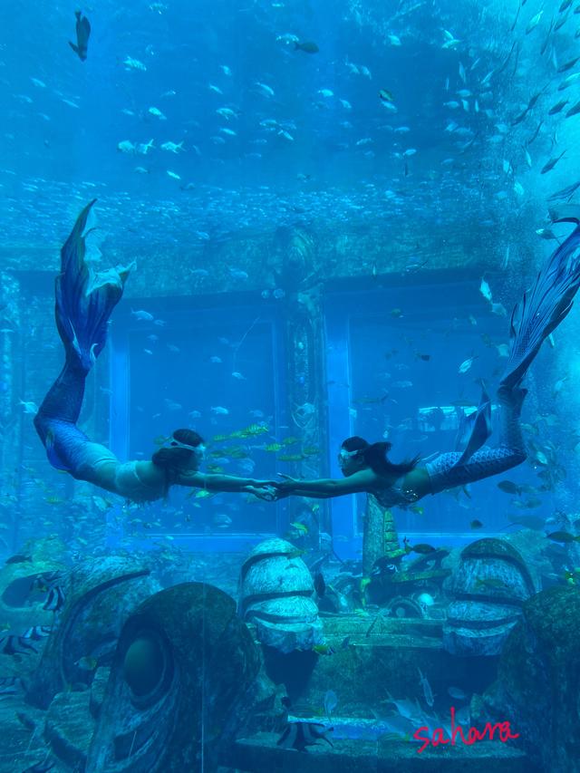 带你探寻失落的海底文明——三亚亚特兰蒂斯水族馆游玩全攻略