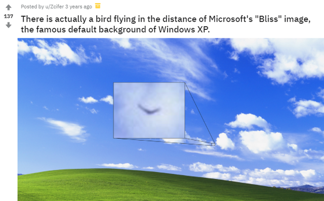 那张Windows XP默认壁纸，直到今天都还有新故事发生