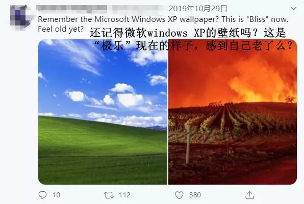 那张Windows XP默认壁纸，直到今天都还有新故事发生
