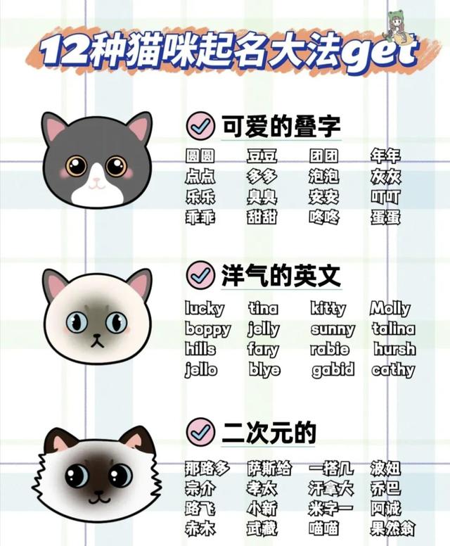 12种猫咪起名大法！看看有没有你家猫咪的名字！