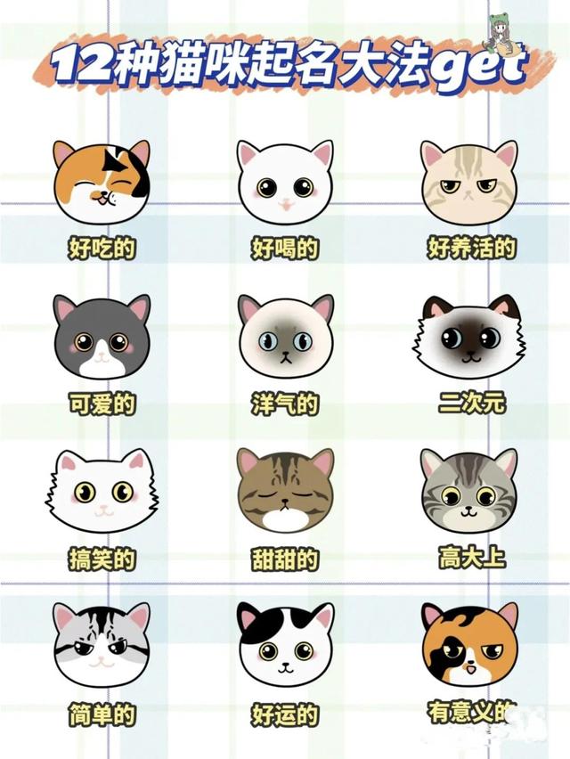 12种猫咪起名大法！看看有没有你家猫咪的名字！