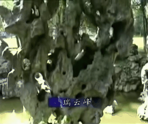 影像中的江南丨《苏园六纪》中的江南园林