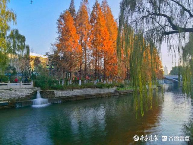 一秒入画!初冬的济南护城河美景成诗,五彩缤纷你爱了吗