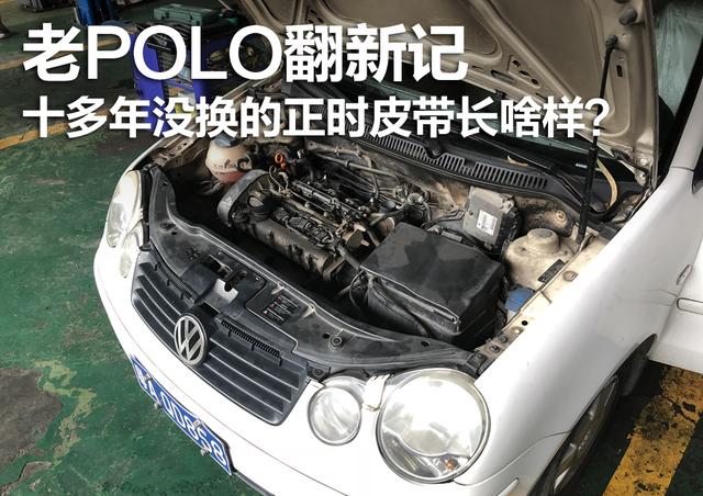 十多年没换的正时皮带长啥样?|老POLO翻新记