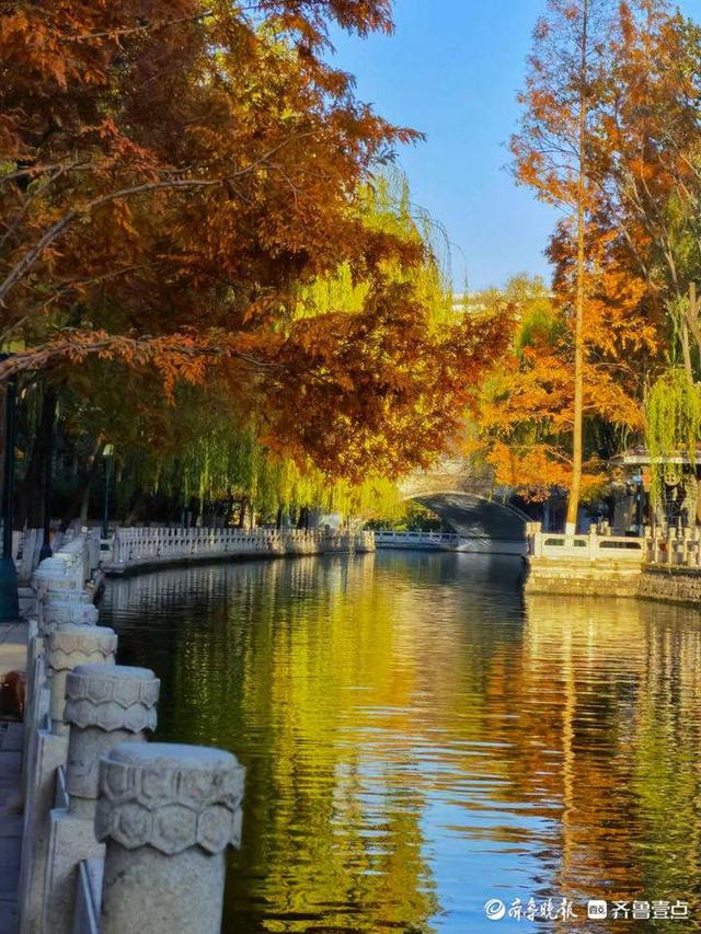一秒入画!初冬的济南护城河美景成诗,五彩缤纷你爱了吗