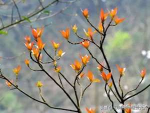 rti美女(认识同人系列：四十不惑)