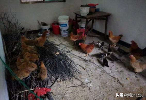 赣州人小心:他要动手作案了!