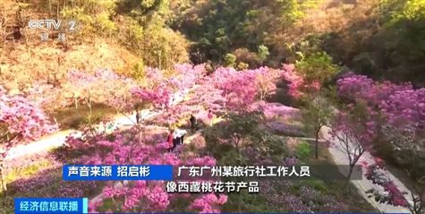 节后出游正当时!冲浪、赏花、邮轮游……错峰旅行更划算