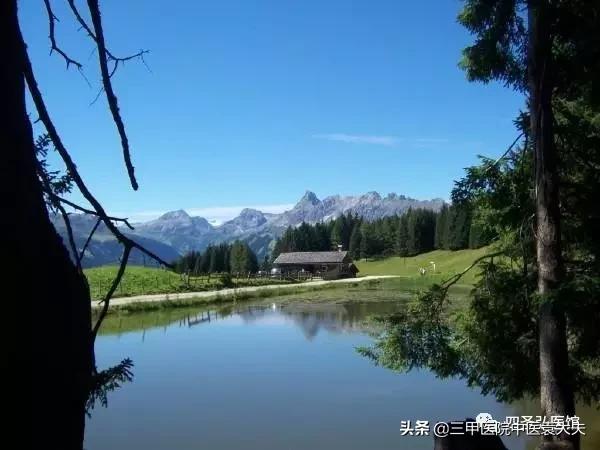 认识同人系列:四十不惑