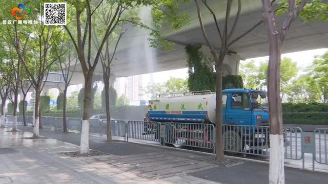 栾树“滴油”,原是它惹的祸