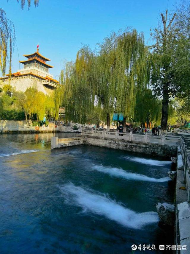 一秒入画!初冬的济南护城河美景成诗,五彩缤纷你爱了吗