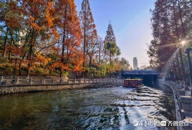 一秒入画!初冬的济南护城河美景成诗,五彩缤纷你爱了吗