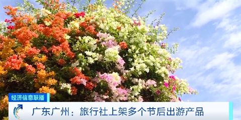 节后出游正当时!冲浪、赏花、邮轮游……错峰旅行更划算