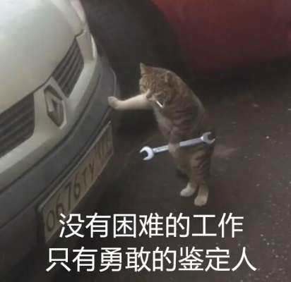 美哉,4万买台七年的大众Polo,国庆节带女友回老家见父母