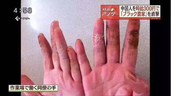 日本“现代奴隶制”又被曝光:日本雇主被指控强奸柬埔寨女工