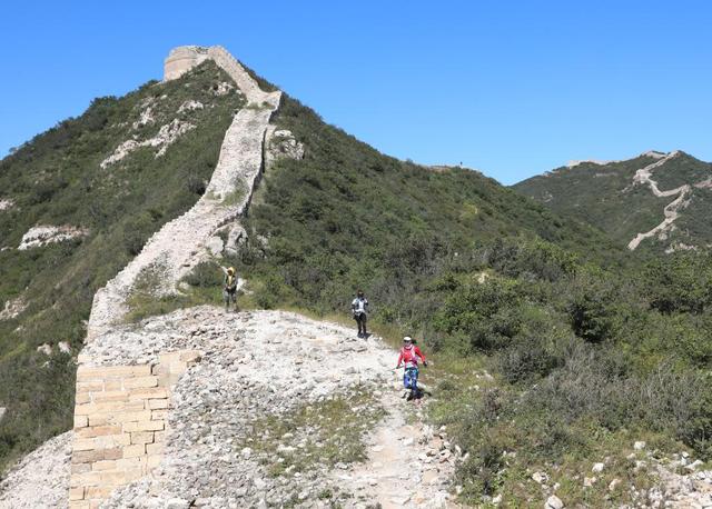 5年增长30多倍!“一路狂奔”的马拉松赛乱象透视