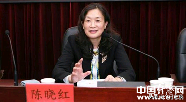 女院士获赞“女神”:16岁上大学,28岁破格晋副教授,31岁破格晋教授,36岁成为博导……