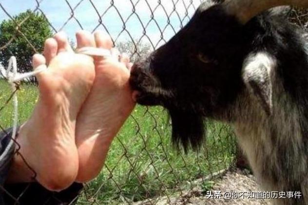 古代一种刑罚,将犯人折磨几个小时,让他在“高兴”中死去