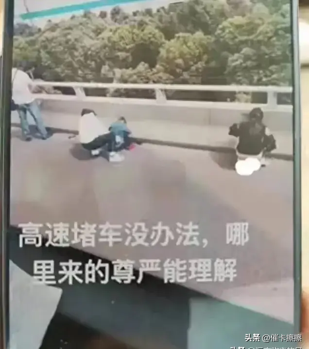 憋不住!女子在高速公路上就地小便!网友:这算光明正大抗议吗?