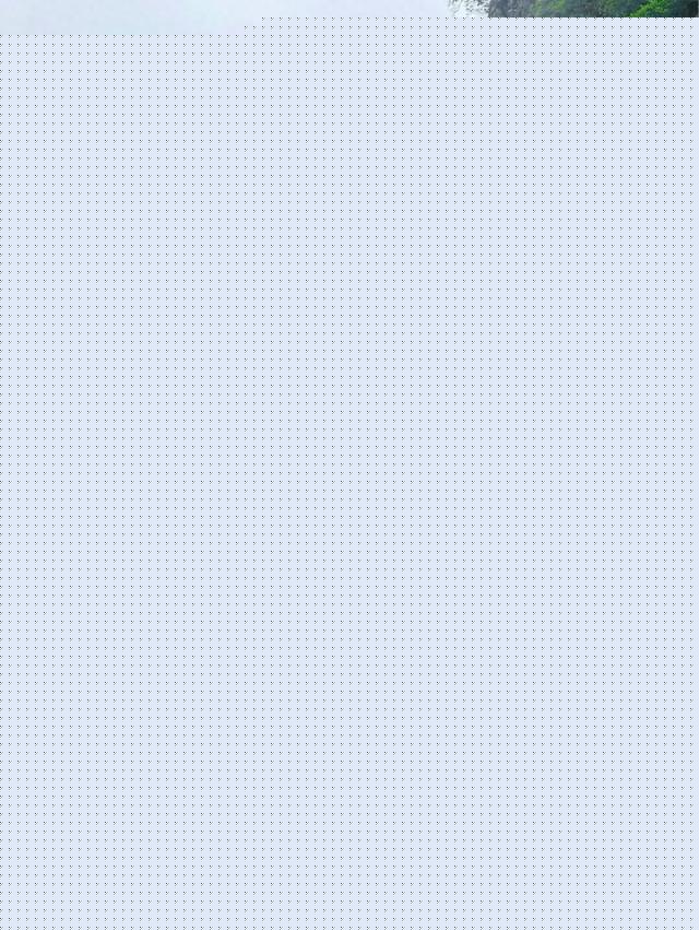 魅力无限大!黄色比基尼美女海滩写真