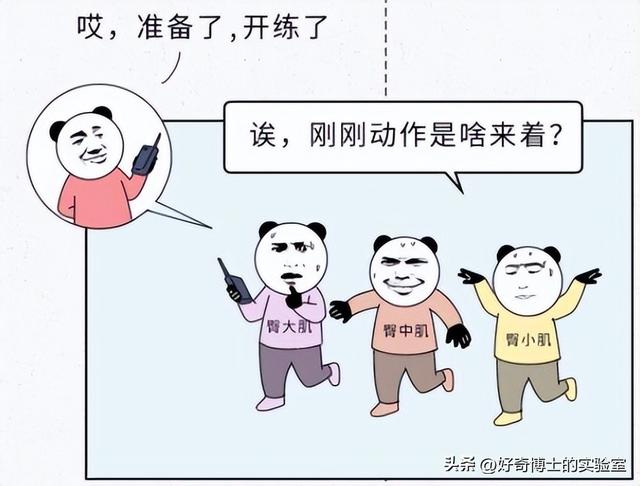 为啥女生的屁股两侧,会凹进去?