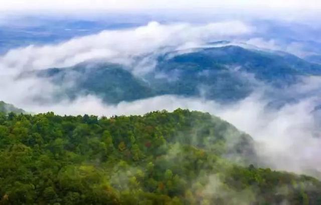 “骑”乐无穷!新余这几条线路,你骑过吗?