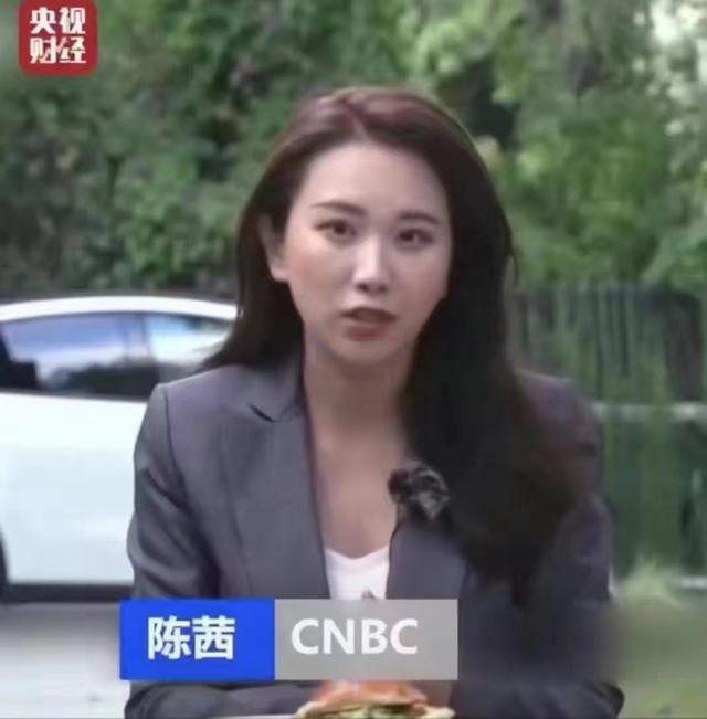 央视美女记者报道20美元汉堡,惨遭网友指责:编都不会编