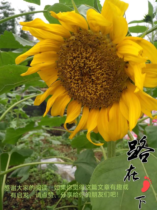 童颜女神Seoulasuna:这身材颜值,是心动啊!实在太绝了!