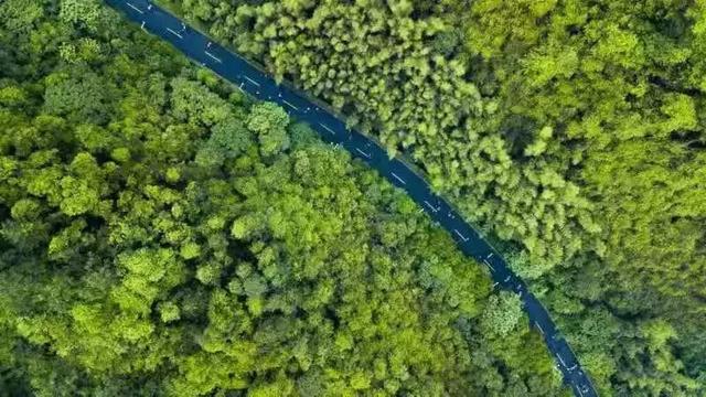 “骑”乐无穷!新余这几条线路,你骑过吗?