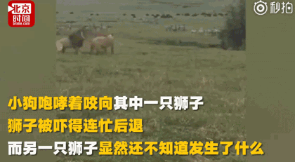 为报复前男友,女子约网友开房!事后,嫌对方太丑……|睡前嘿嘿嘿