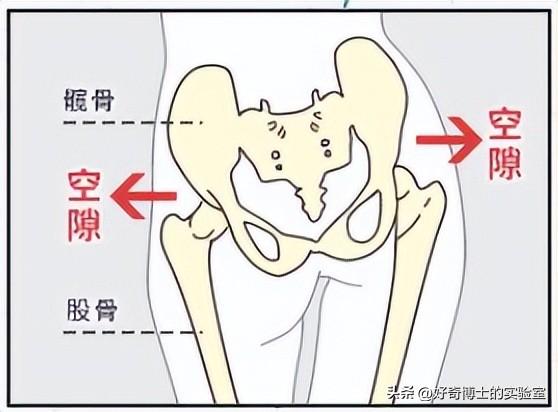 为啥女生的屁股两侧,会凹进去?