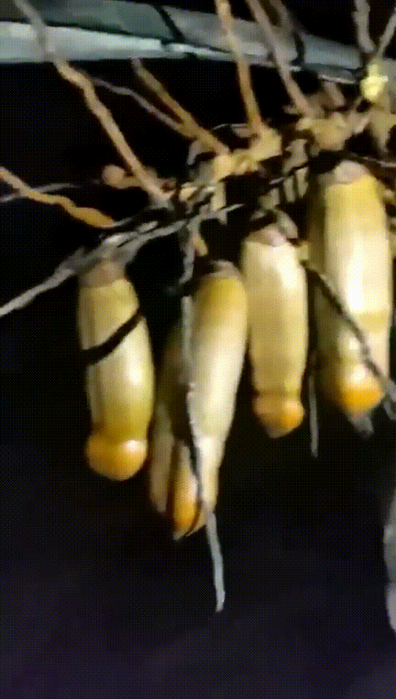 就在今天火车卧铺惊现“裸睡”美女,乘客尴尬提醒:能穿上衣服吗