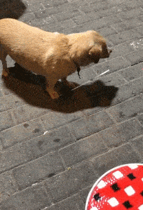 就在今天火车卧铺惊现“裸睡”美女,乘客尴尬提醒:能穿上衣服吗