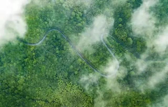 “骑”乐无穷!新余这几条线路,你骑过吗?