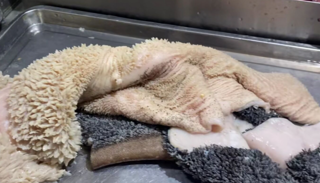 广西这家大排档,因美女老板娘而名声大噪,本地客人却很少去吃