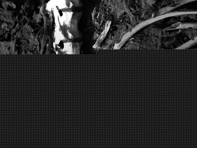 小说：传说阎王谷有去无回，一个古稀老太太非要带着个孩子往里闯