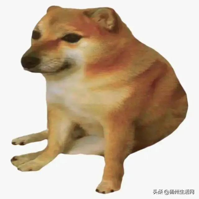 扬州⇆南京,最快6分钟!事关每个扬州人的出行!