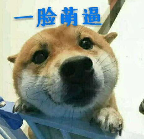 美女主播董月月被水友玩坏 企图娇喘过关居然也躲不过!