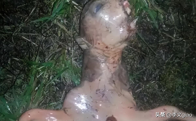 不堪入目老照片:男人搂着女子的胸一顿摸,男人抱着女人一顿热吻