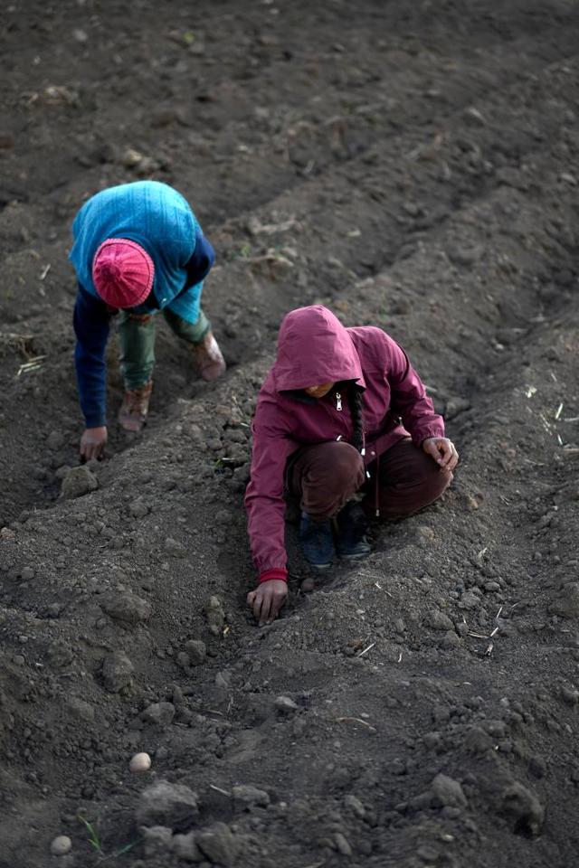 我在现场·照片背后的故事丨回望2024:镜头中的拉美瞬间