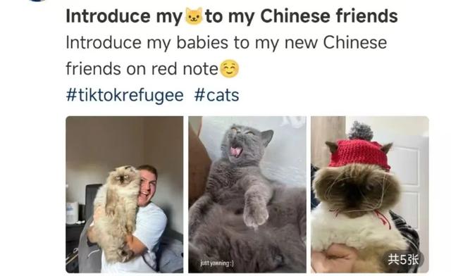 “TikTok难民”涌入小红书!评论区笑翻……