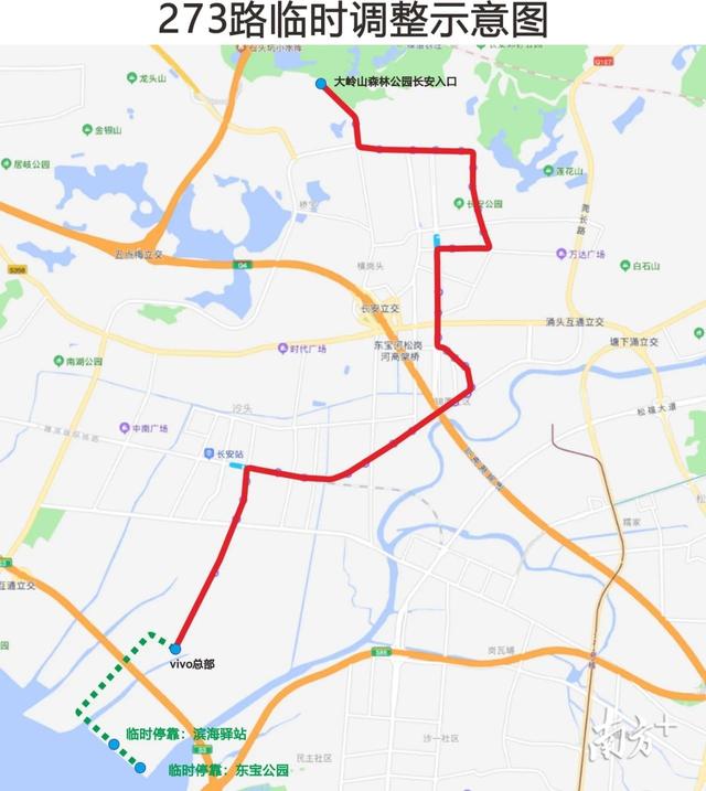 春节想去滨海湾看海?这三条公交可直达