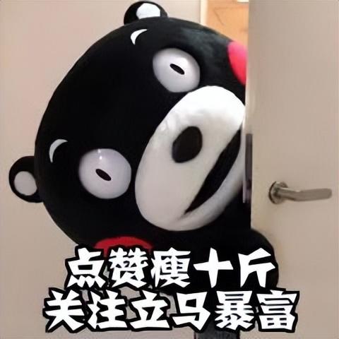 央视美女记者报道20美元汉堡,惨遭网友指责:编都不会编