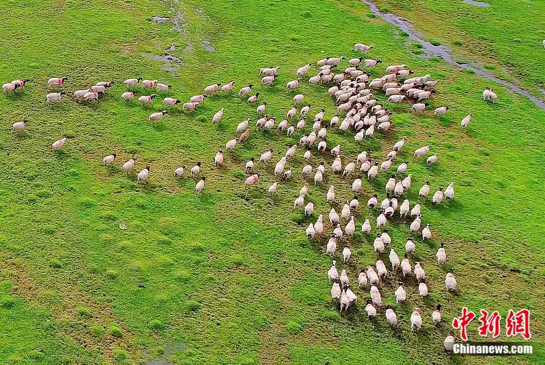 人这一辈子,一定要去一趟“新疆心脏”!