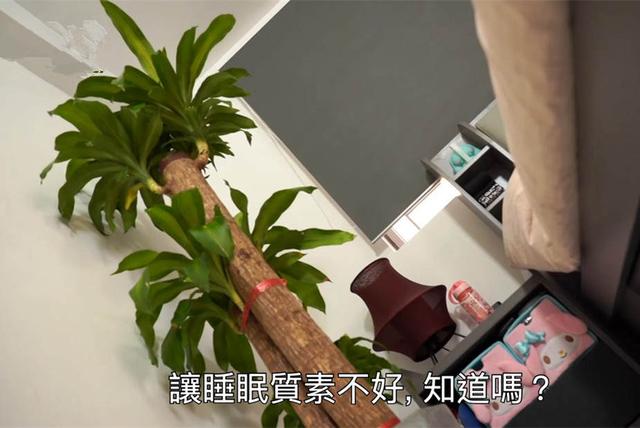 25岁港姐冠军谢嘉怡住所曝光!外墙陈旧面积狭小,卧室装铁闸门